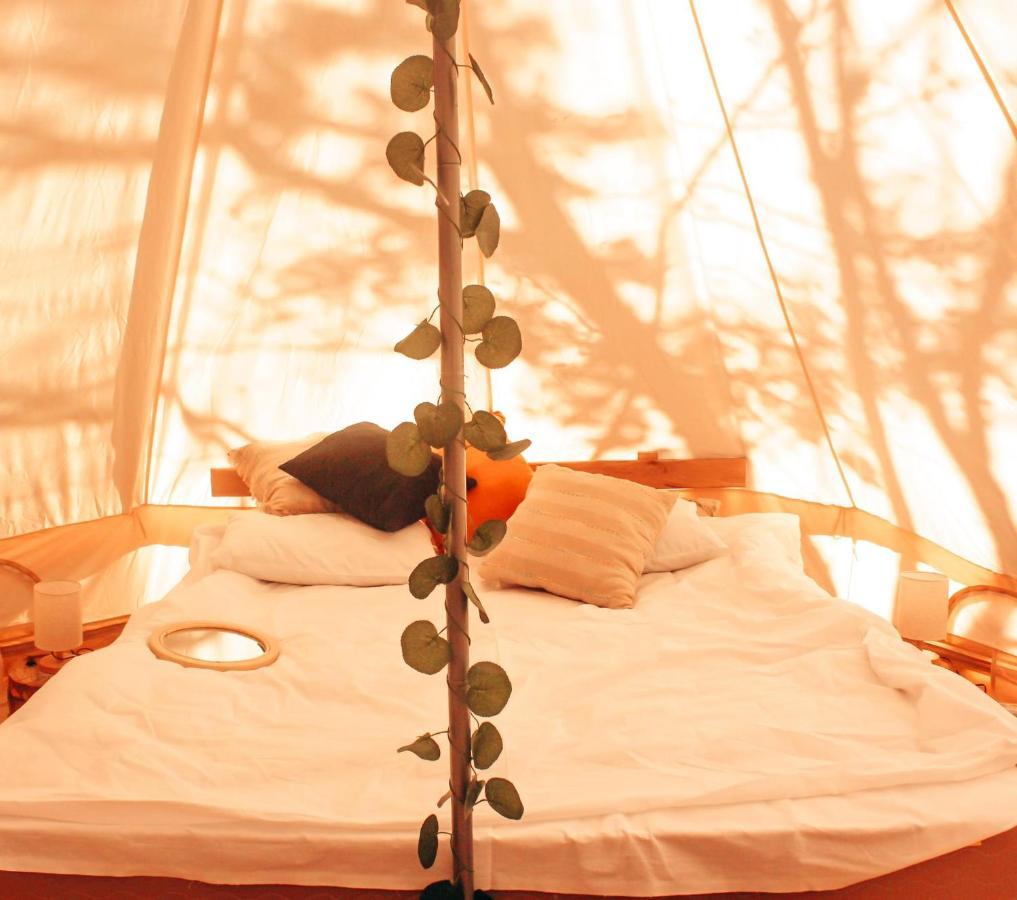 Alereks Mountain Camping Tumanyan Extérieur photo